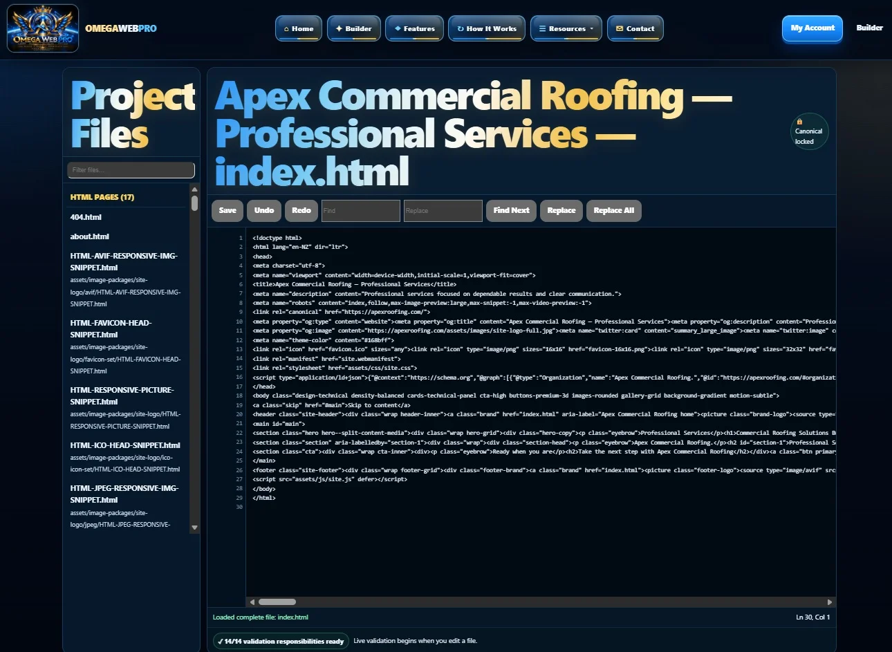 Omega Web Pro — Website Code Editor